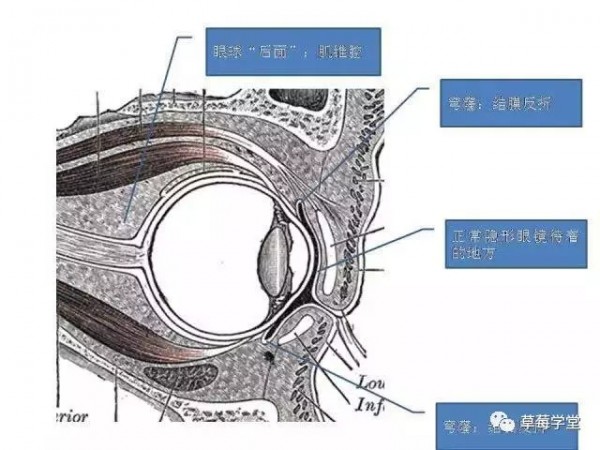“無聊”行業(yè)如何創(chuàng)造“有趣”內(nèi)容？
