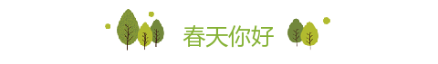 立春左右小树图片标题