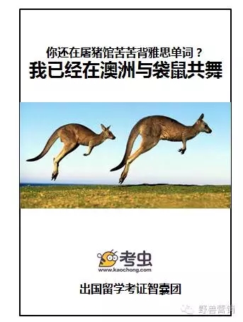 文案創(chuàng)作十一種消費(fèi)心理分析 文案創(chuàng)作十一種消費(fèi)心理分析