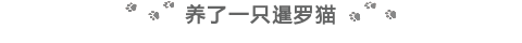 简约左右淘气猫爪子图片标题