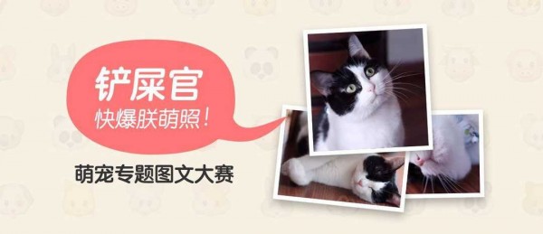 爆款活動(dòng)策劃需注意的三個(gè)問題 爆款活動(dòng)策劃需注意的三個(gè)問題