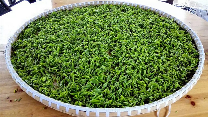 杭州天目山探春五一小长假浙西原生态亲子游